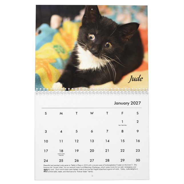 Calendario de lugar de Tabby (Jan 2027)