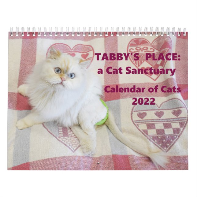 Calendario de lugares de tabby 2022 (Tapa)
