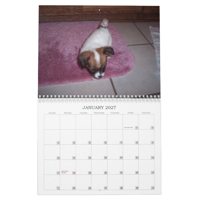 Calendario de Maggie Mae 2010 (Jan 2027)