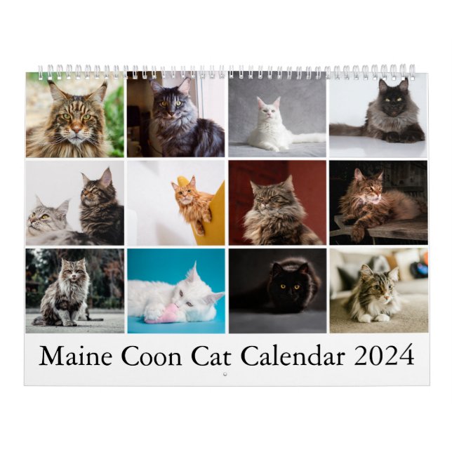 Calendario de Maine Coon Cat (Tapa)