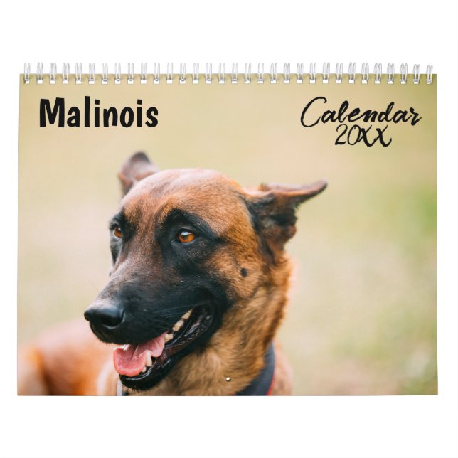Calendario de Malinois 2026 (Tapa)