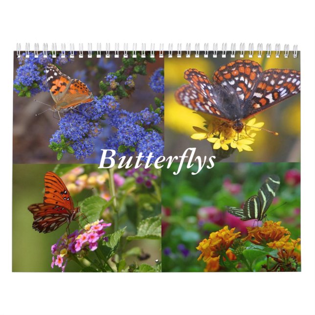 Calendario de mariposa (Tapa)
