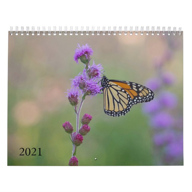 Calendario de mariposa monarca (Tapa)