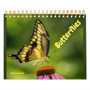 Calendario de mariposas
