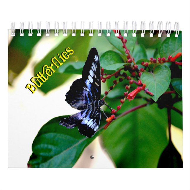 Calendario de Mariposas (Tapa)