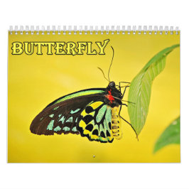 Calendario de Mariposas