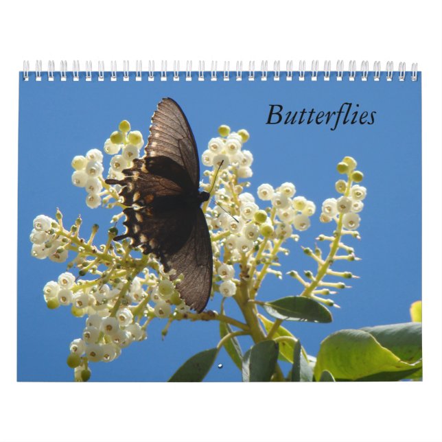 Calendario de mariposas (Tapa)