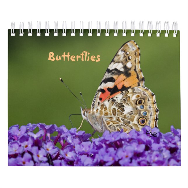 Calendario de Mariposas (Tapa)