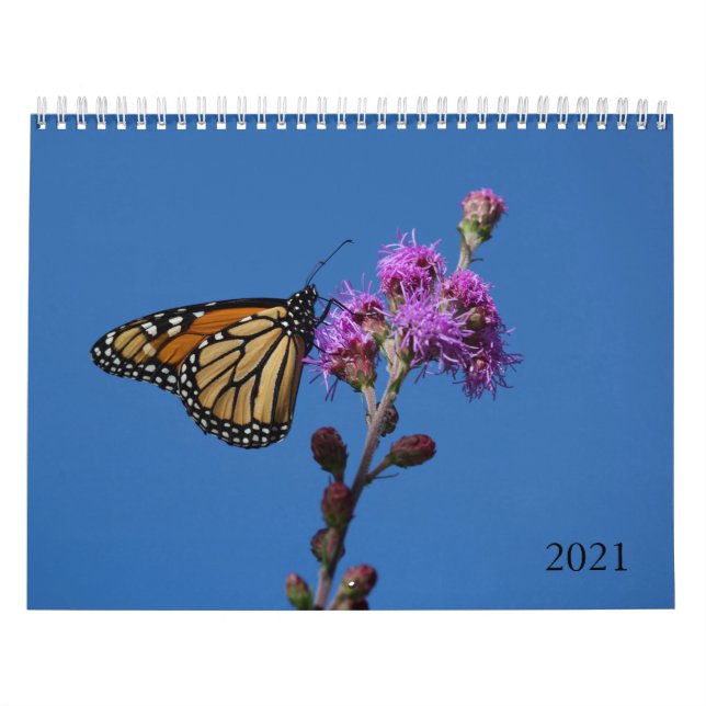 Calendario de mariposas (Tapa)