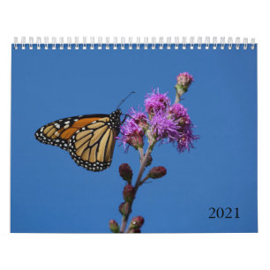 Calendario de mariposas