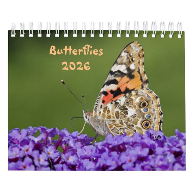 Calendario de mariposas (Tapa)