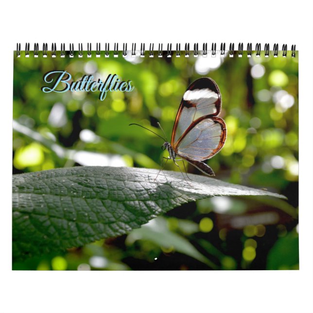 Calendario de Mariposas (Tapa)