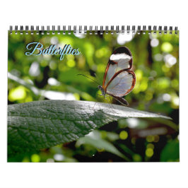 Calendario de Mariposas
