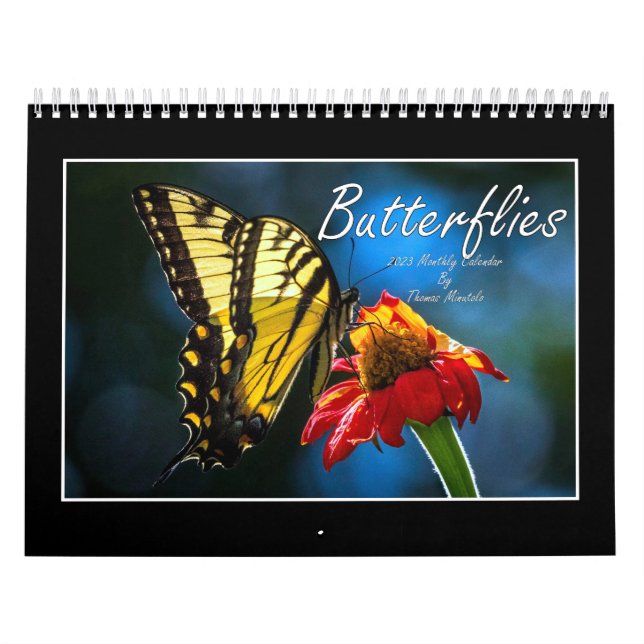 Calendario De Mariposas 2023 De Tom Minutolo (Tapa)