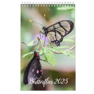 Calendario de mariposas 2024