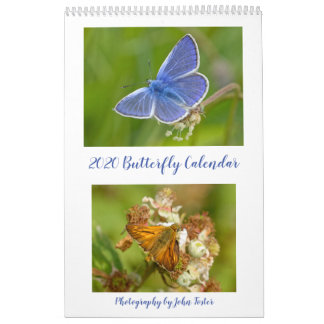 Calendario de mariposas británicas 2020