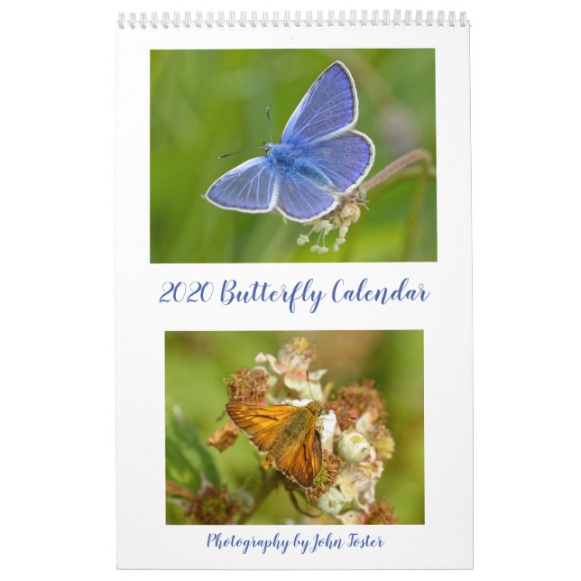 Calendario de mariposas británicas 2020 (Tapa)