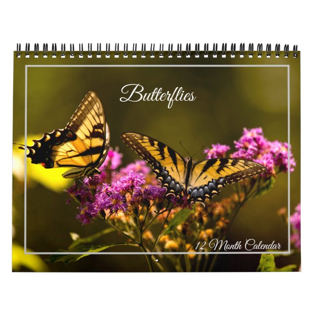 Calendario de Mariposas de 12 Meses (Tapa)