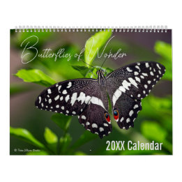 Calendario de Mariposas Elija su Mes / Año de Inic