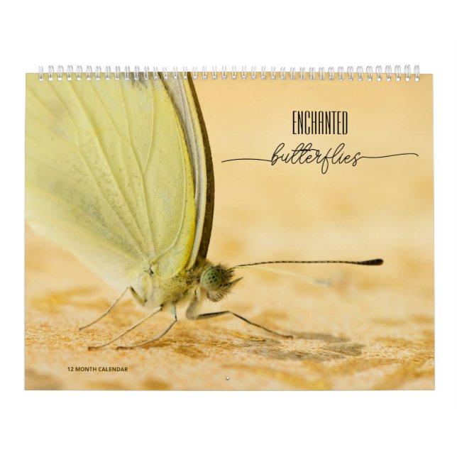 Calendario de mariposas encantadas (Tapa)