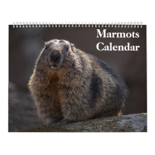 Calendario de Marmotas 2027