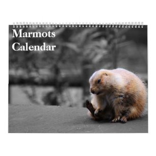 Calendario de Marmotas 2027