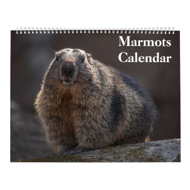 Calendario de Marmots 2025 (Tapa)