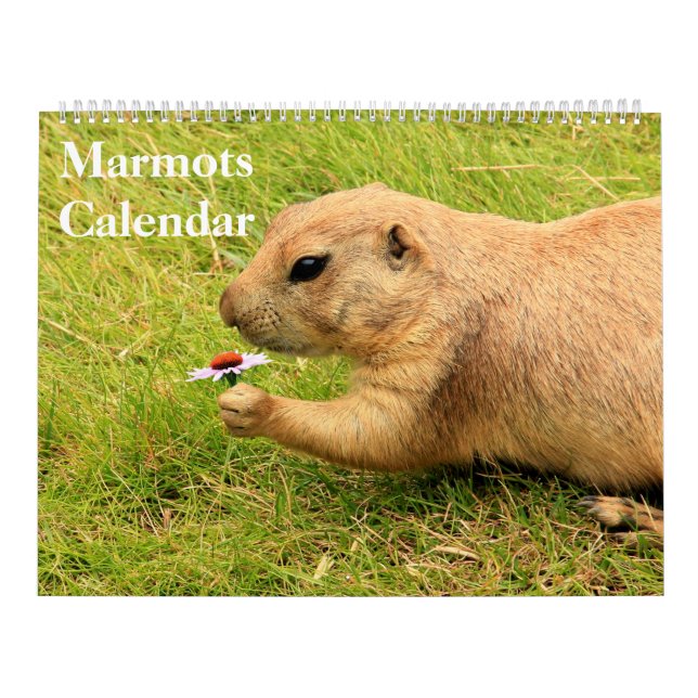 Calendario de Marmots 2025 (Tapa)