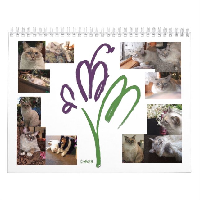 Calendario de mascota de gato (Tapa)