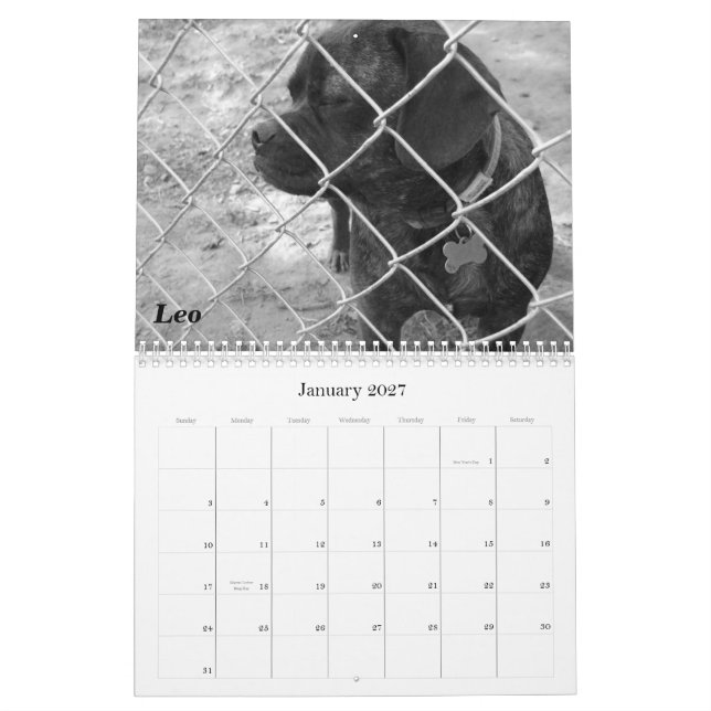 Calendario de Mascotas de 2011: Gatos y perros (Jan 2027)
