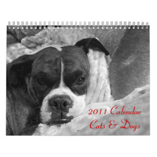 Calendario de Mascotas de 2011: Gatos y perros