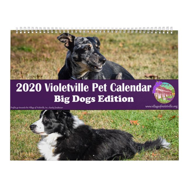 Calendario de Mascotas de Violetville 2020 ~ Edici (Tapa)