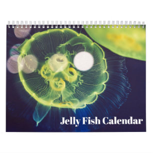 Calendario de Medusas 2026