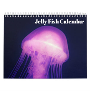 Calendario de Medusas 2027