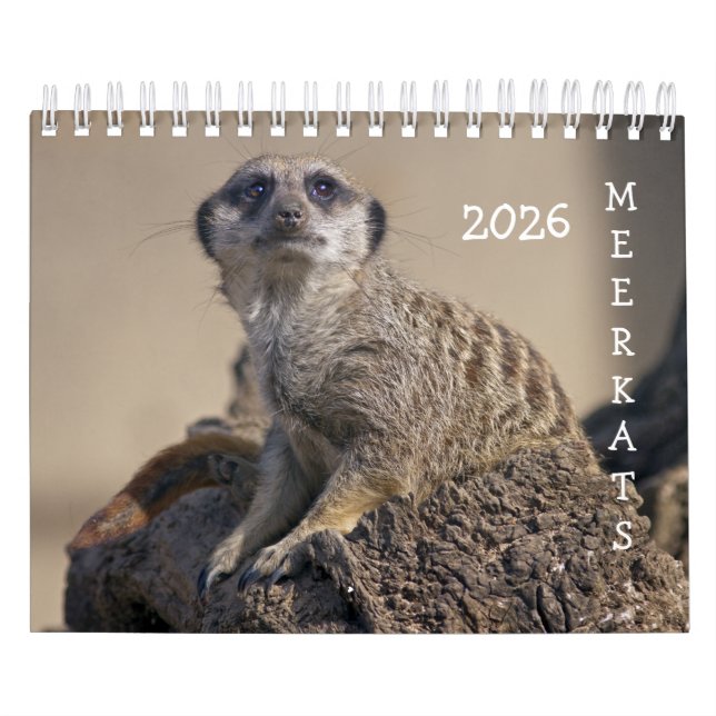Calendario de Meerkats (Tapa)