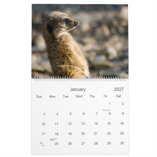 Calendario de Meerkats 2010 (Jan 2027)