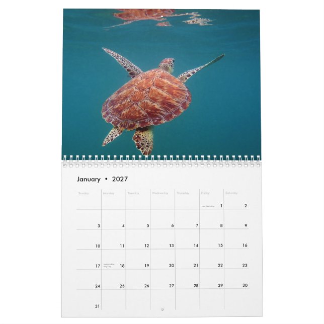 Calendario de México del maya de Riviera (Jan 2027)