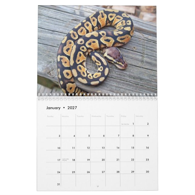 Calendario de MightyMorphs (Jan 2027)