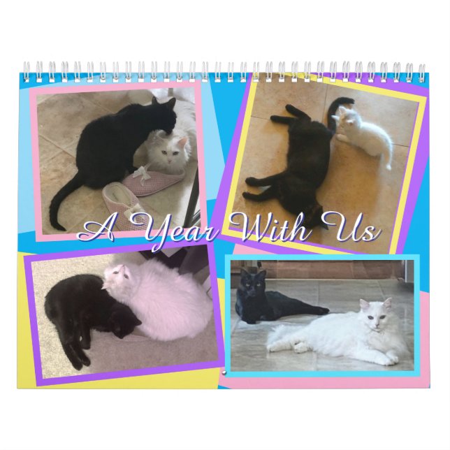 Calendario de Mis gatos (Tapa)