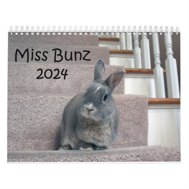Calendario de Miss Bunz 2024 (Tapa)