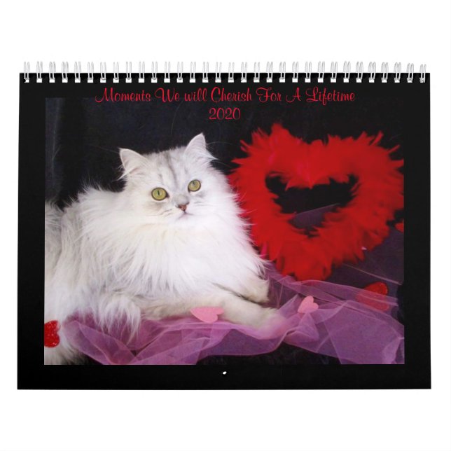 Calendario de momentos especiales de Catz (Tapa)