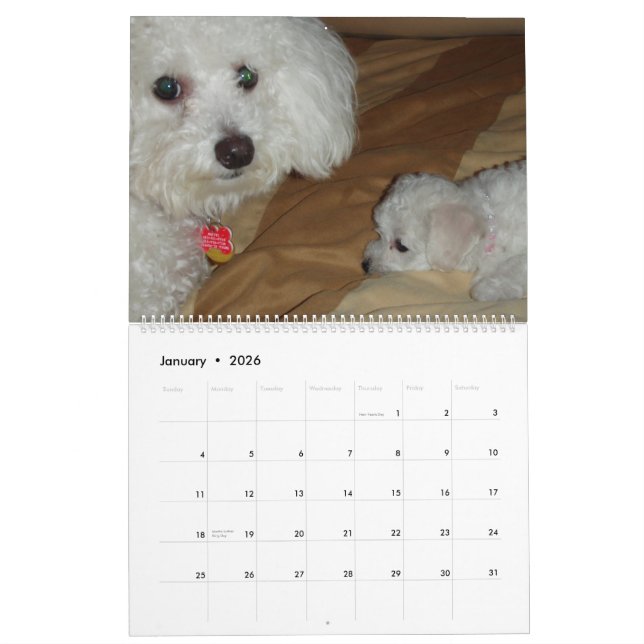 Calendario de Muffie y de Snowie 2008 (Jan 2026)
