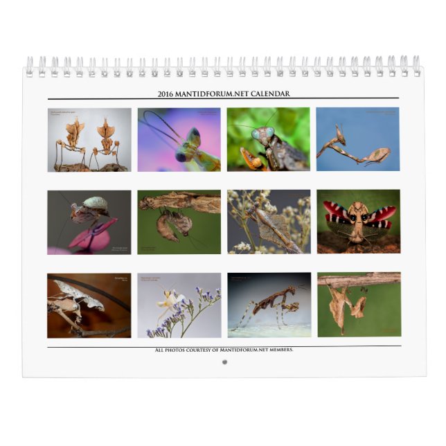 Calendario de Muro de Alta Resolución de Mantidfor (Reverso)