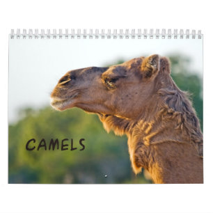 Calendario de Muro de CAMELS