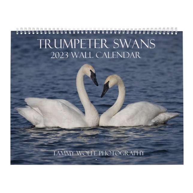 Calendario de Muro de Cisne de Trumpeter 2023 (Tapa)