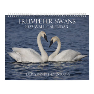 Calendario de Muro de Cisne de Trumpeter 2023