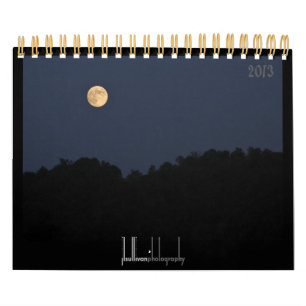 Calendario de Muro de Critters y Bugs 2013