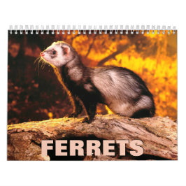 Calendario de muro de ferrets