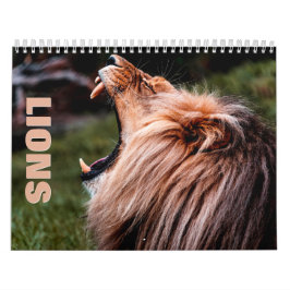 Calendario de Muro de Leones [2]