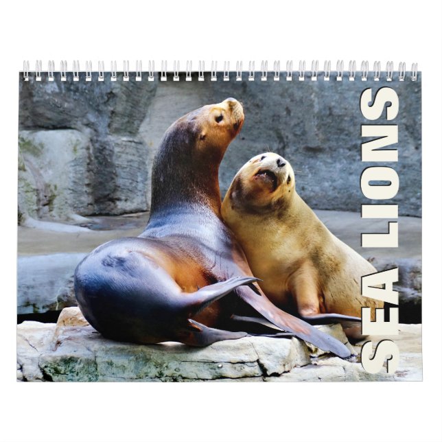 Calendario de Muro de los Leones del Mar (Tapa)